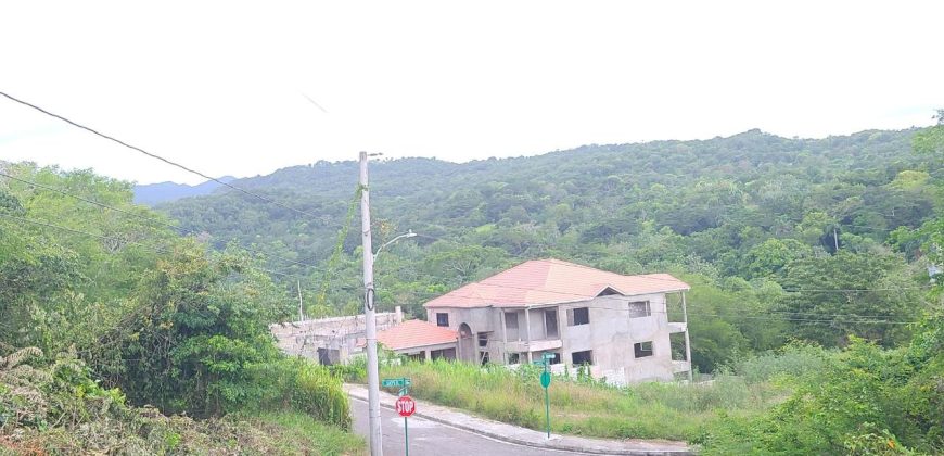 Land For Sale in Drax Hall, St. Ann