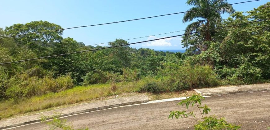 Land For Sale in Drax Hall, St. Ann