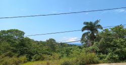 Land For Sale in Drax Hall, St. Ann