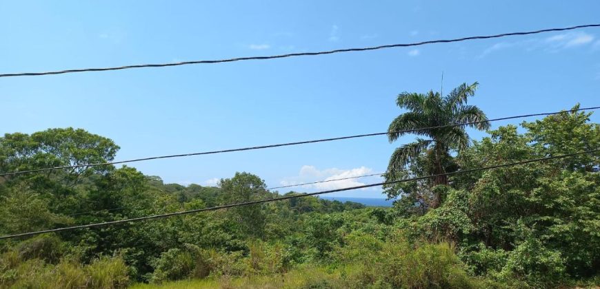 Land For Sale in Drax Hall, St. Ann