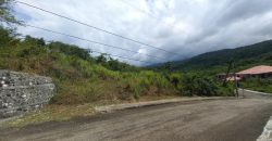 Land For Sale in Drax Hall, St. Ann