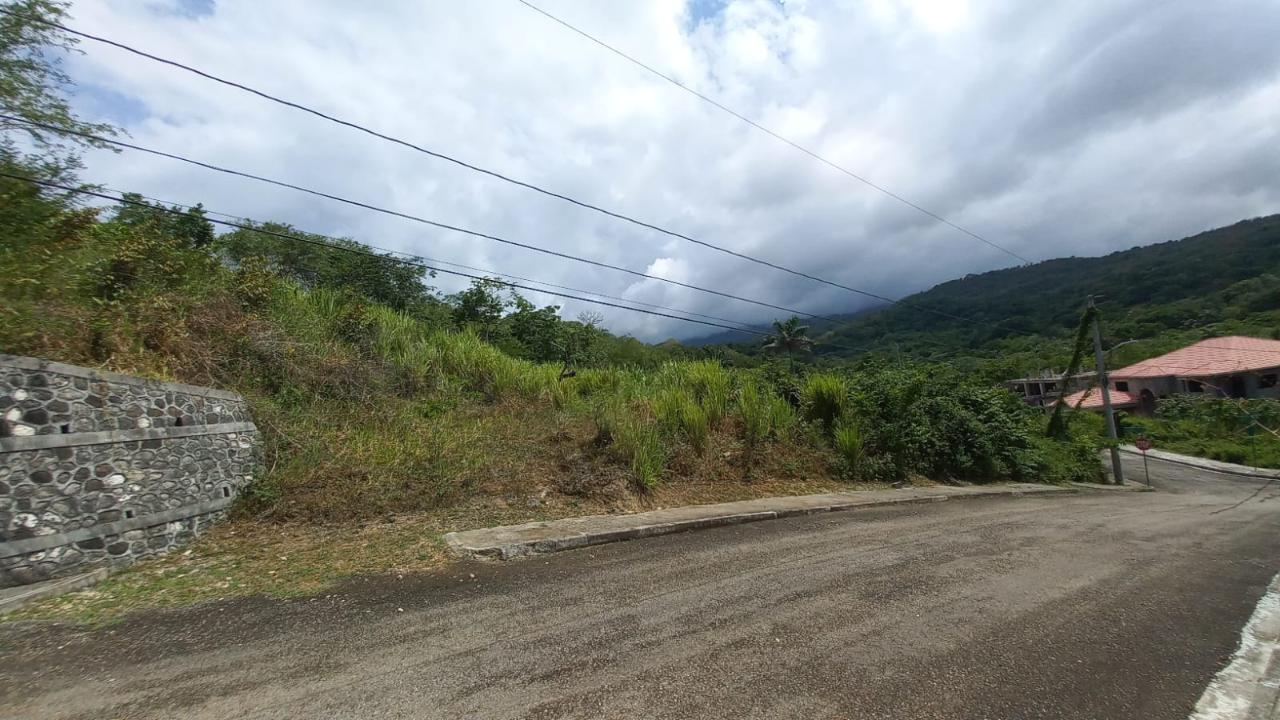 Land For Sale in Drax Hall, St. Ann