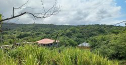 Land For Sale in Drax Hall, St. Ann