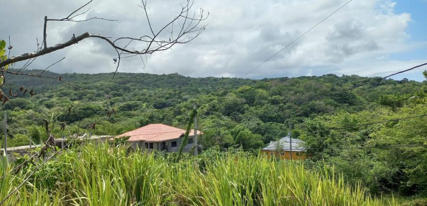 Land For Sale in Drax Hall, St. Ann