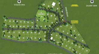 Land For Sale in Tower Isle, St. Mary – Lot 63 Roystonea