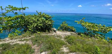 4 Boscobel – Land For Sale in Boscobel