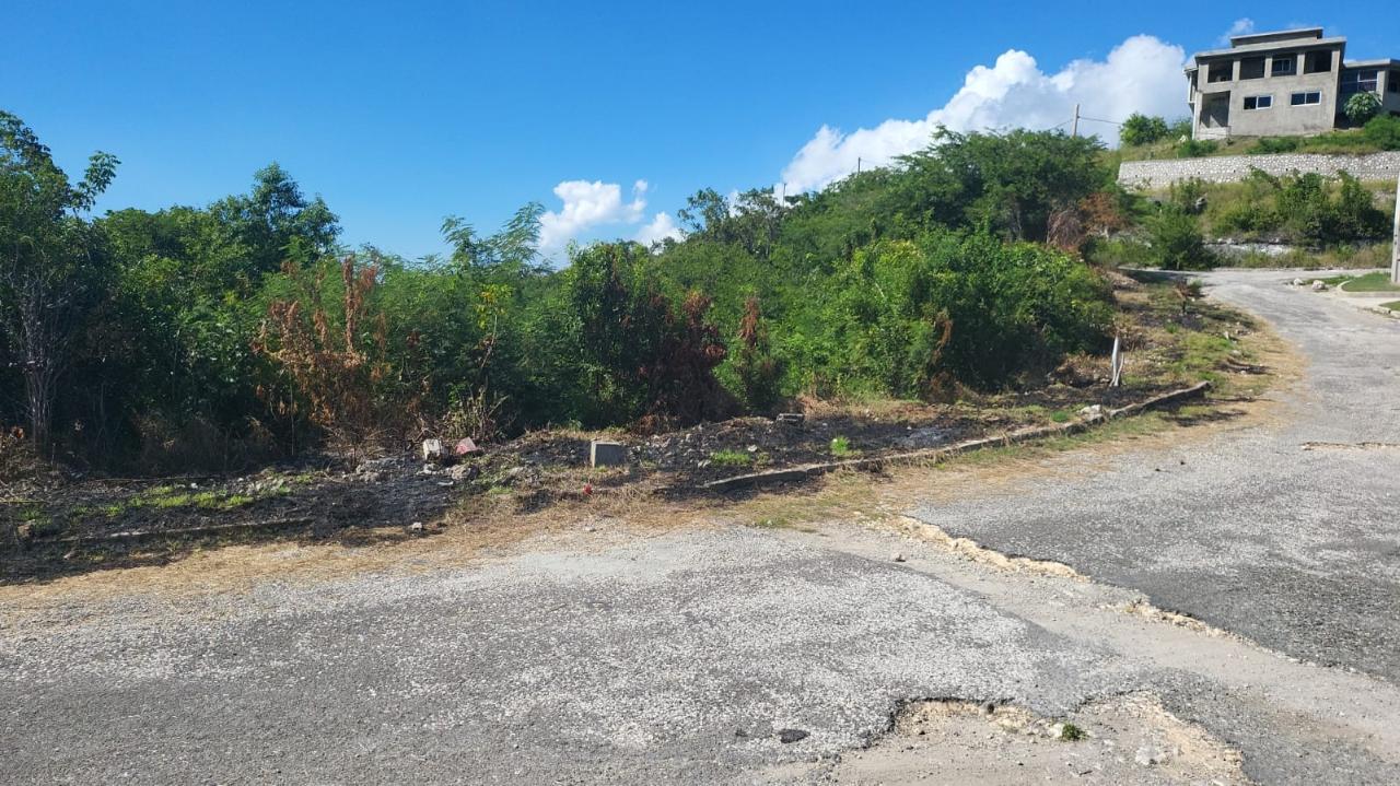 properties for sale in st thomas jamaica