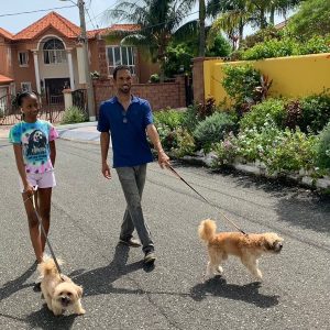 walking dogs in tower isle jamaica